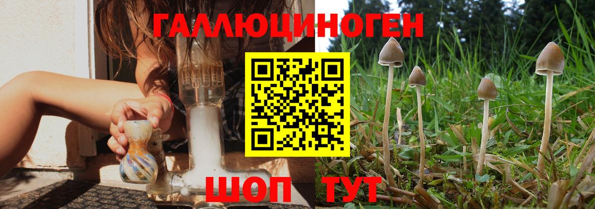 Псилоцибиновые грибы мухоморы Ржев